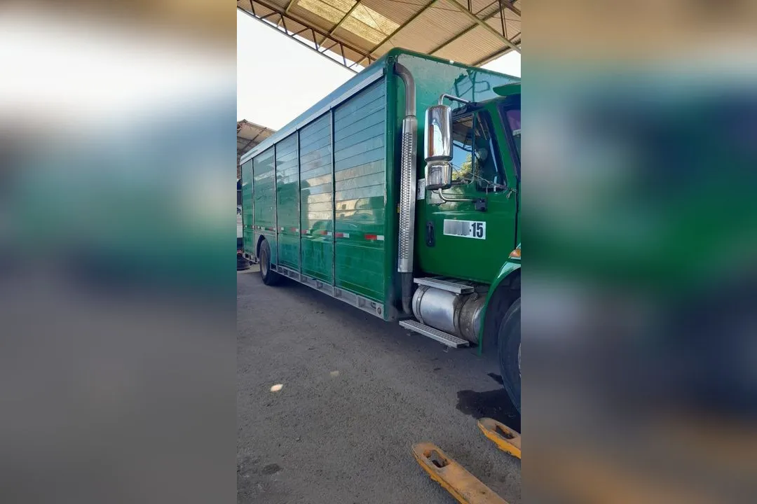 Imagen de vehículo