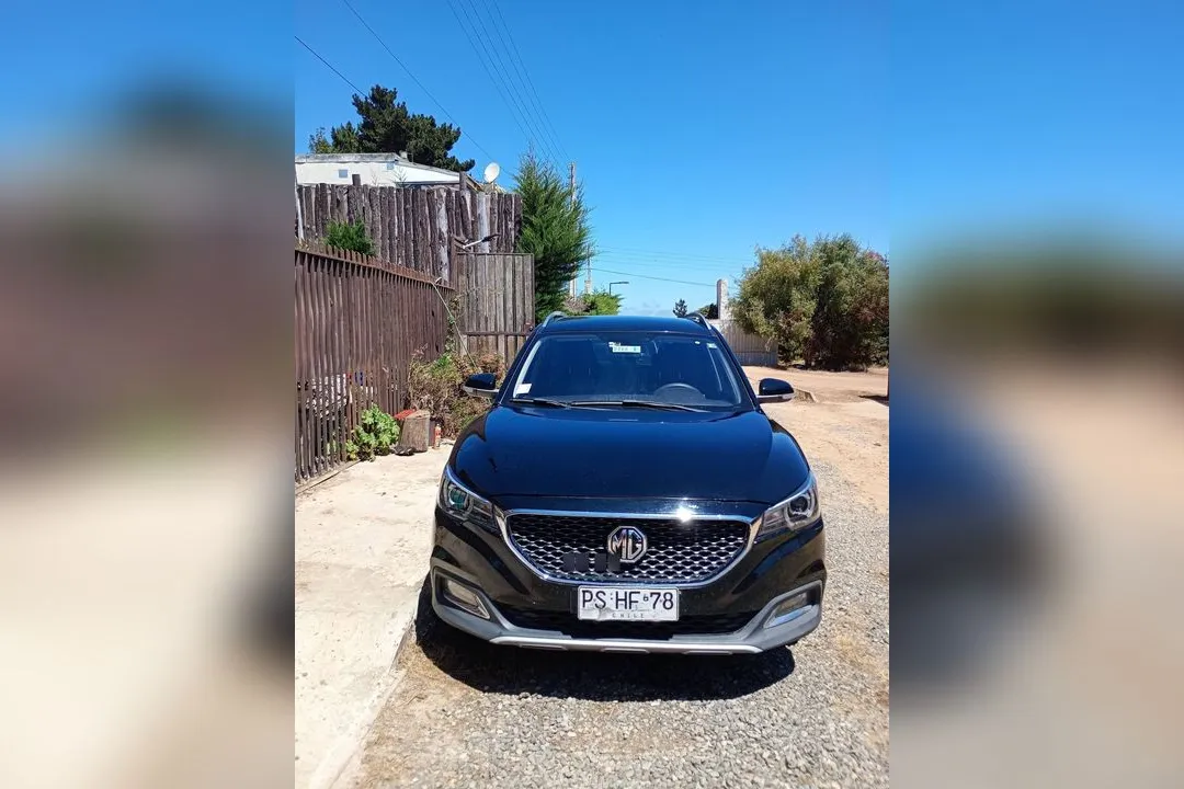 Mg ZS Standard