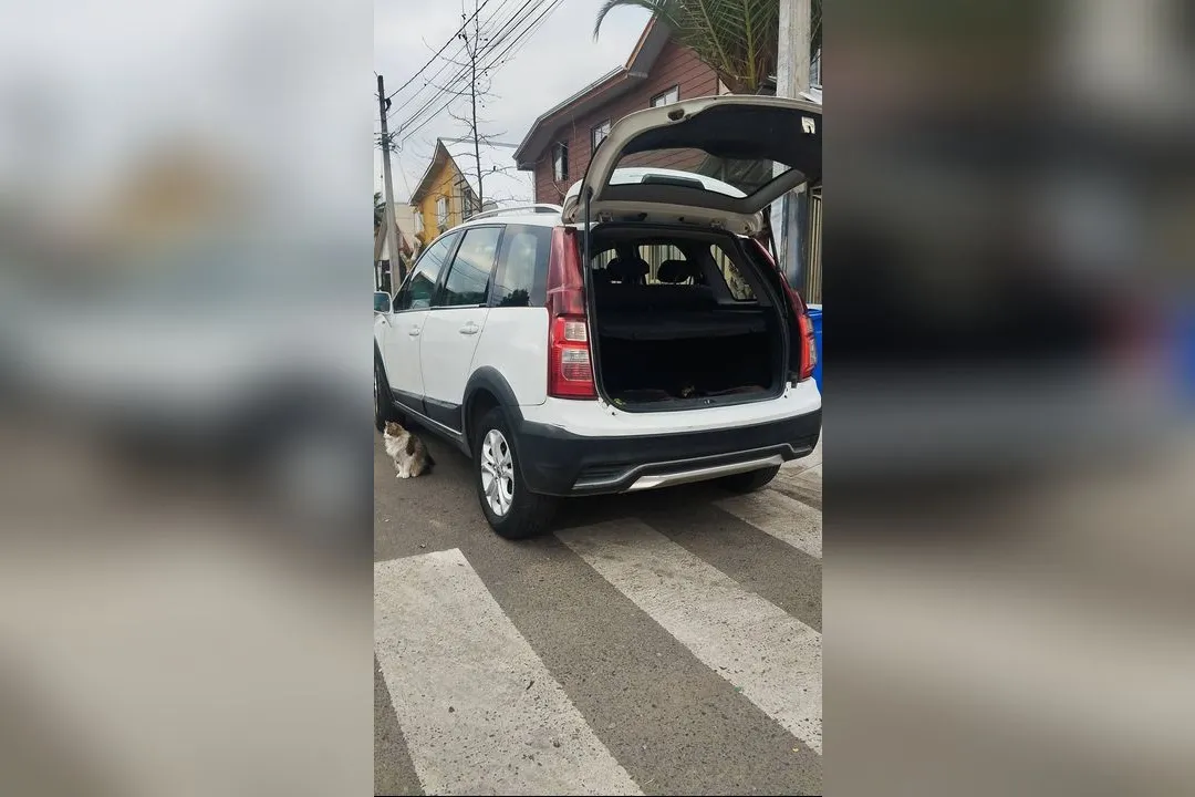 Imagen de vehículo